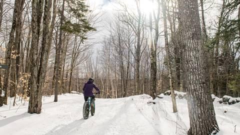 Fat biking on a snowy trail